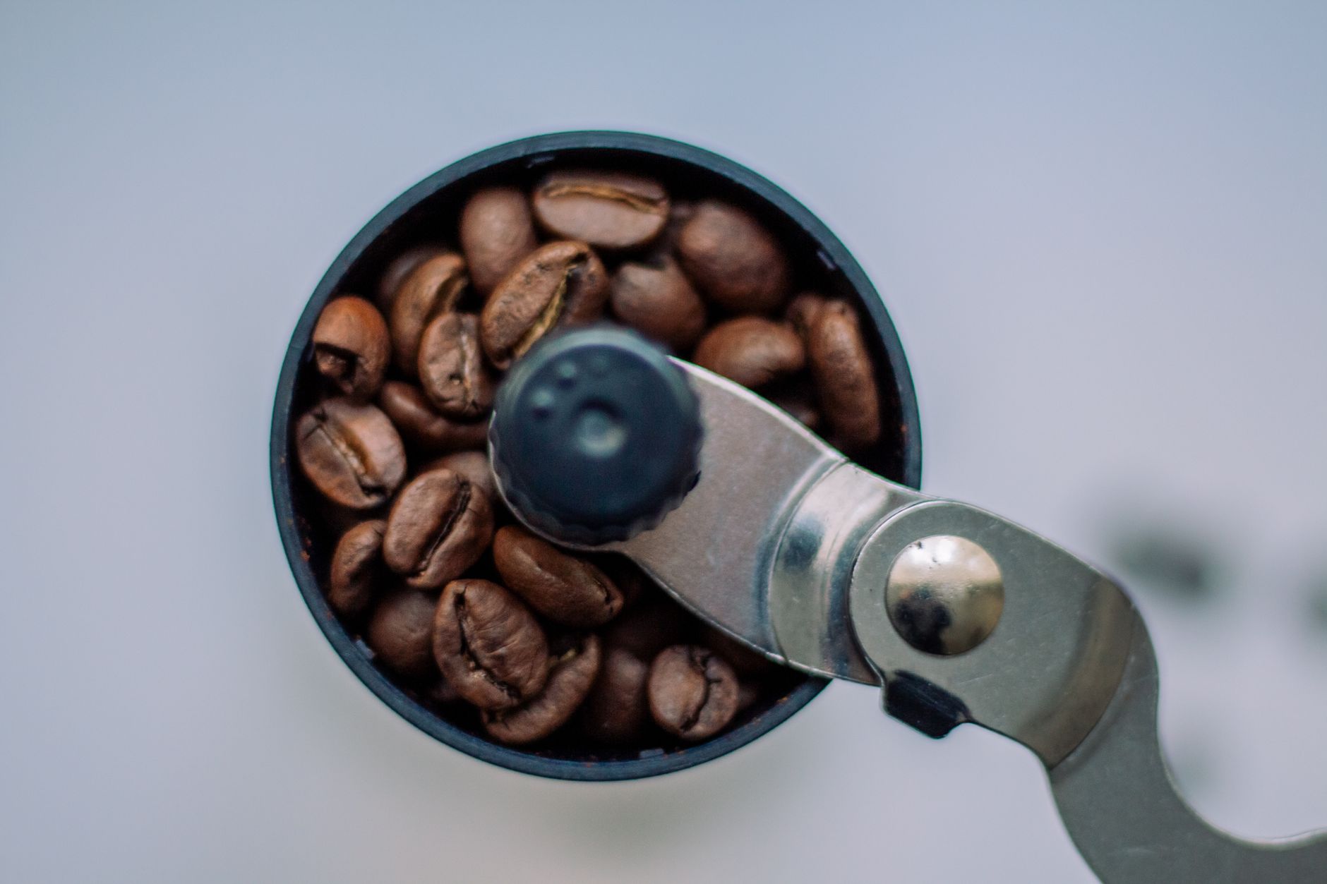 coffee grinder burr conical steel micro adjustment