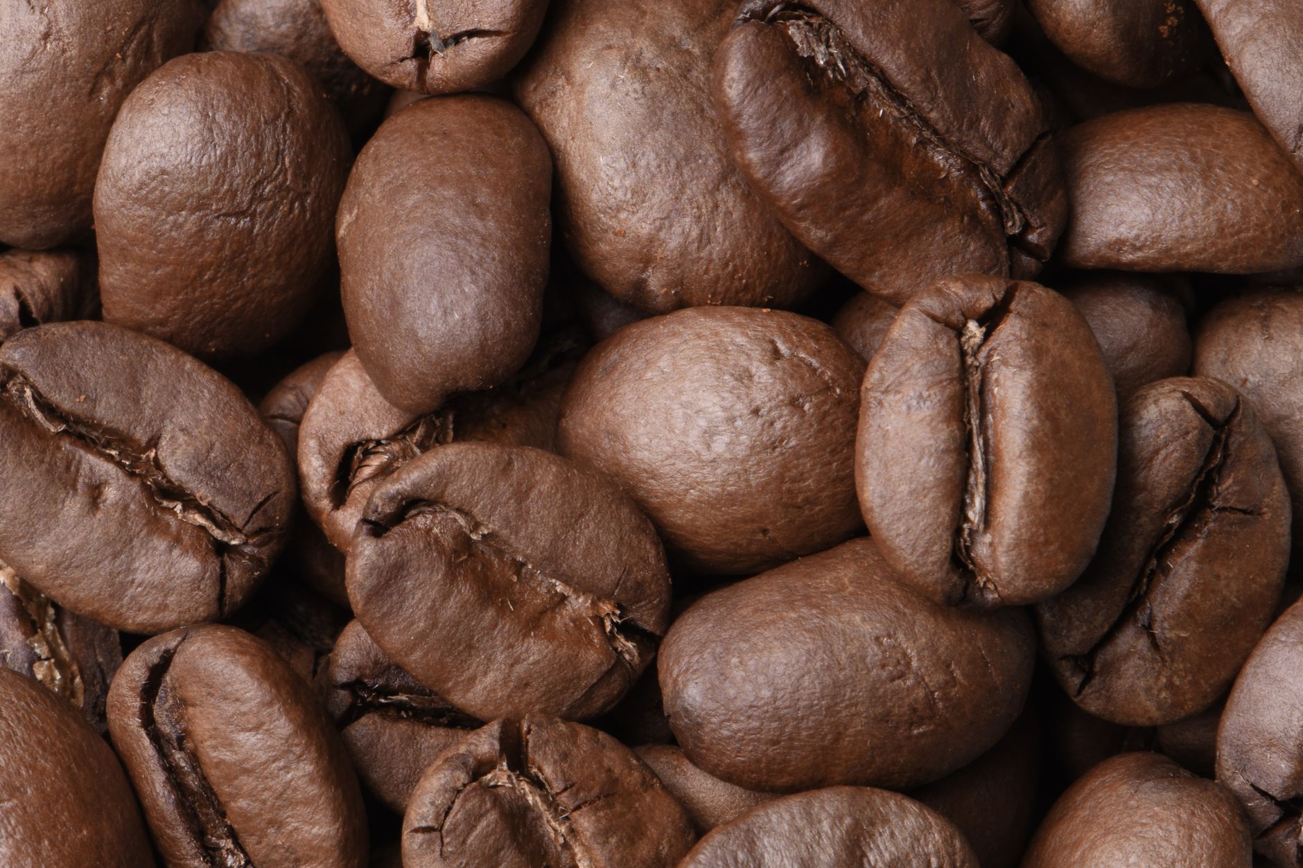 freshly roasted coffee beans with roast date label close-up
