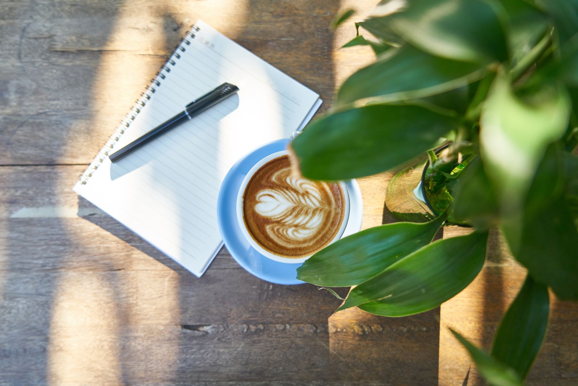 specialty coffee table books flat lay overhead