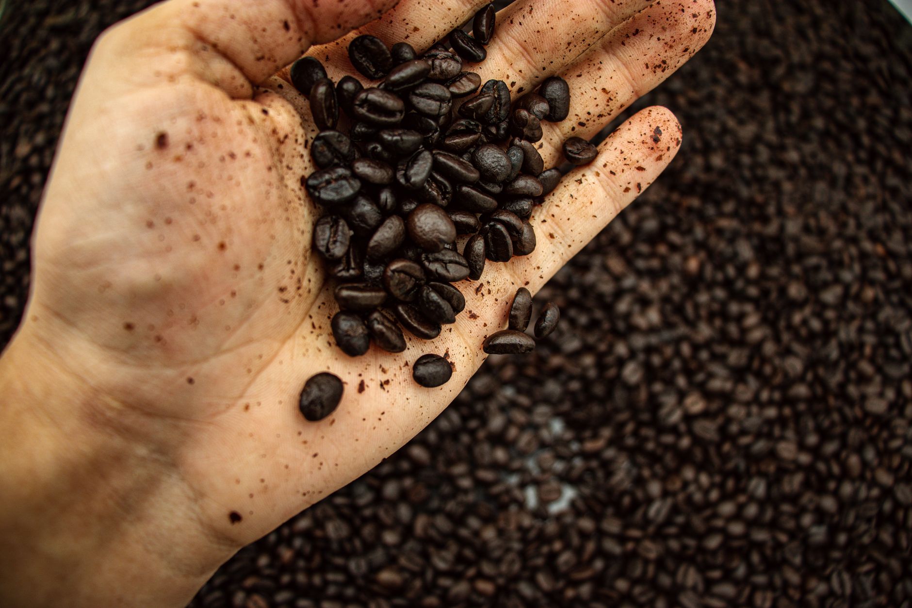 home coffee roaster fluid bed chaff collection