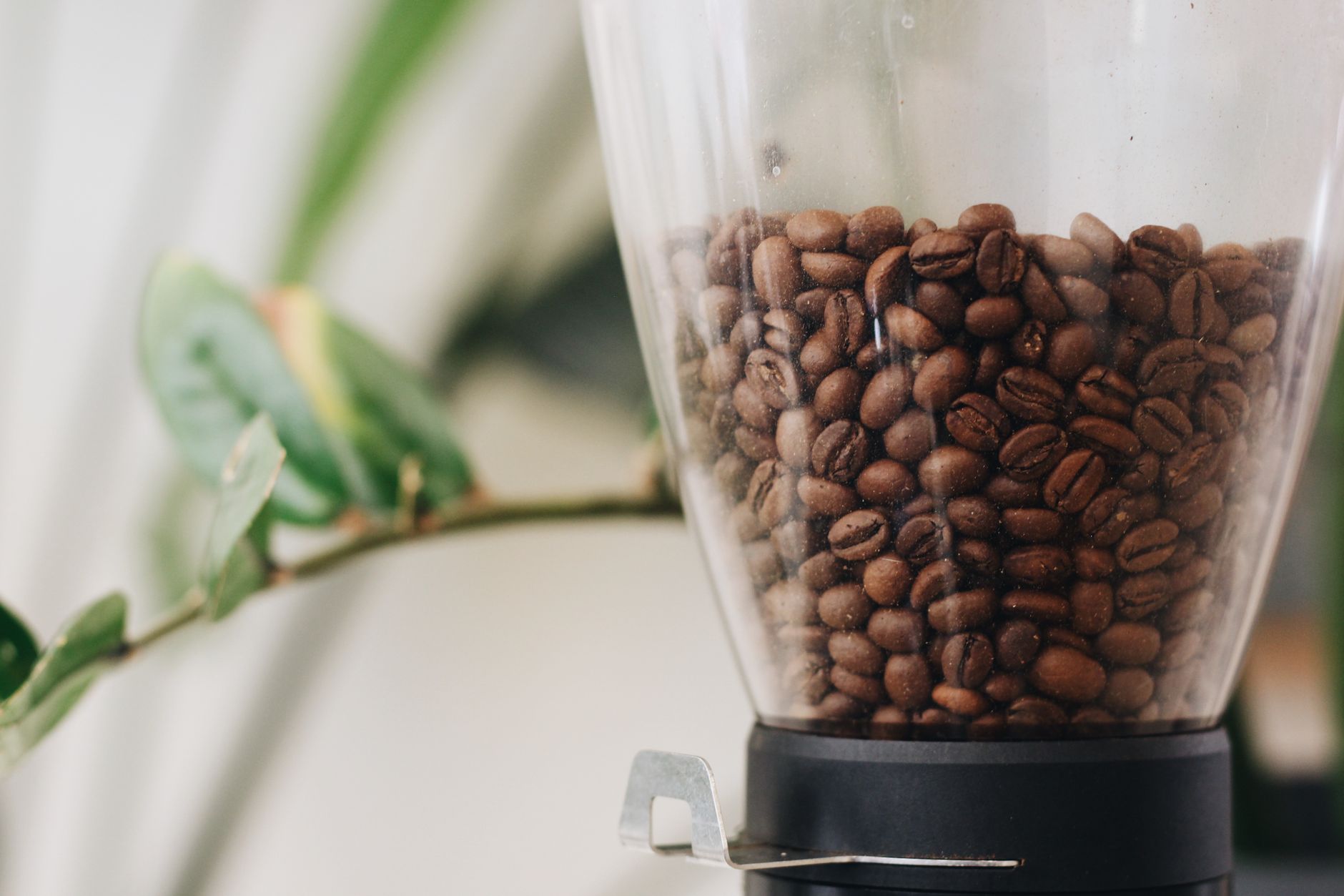 super automatic espresso machine bean hopper filling