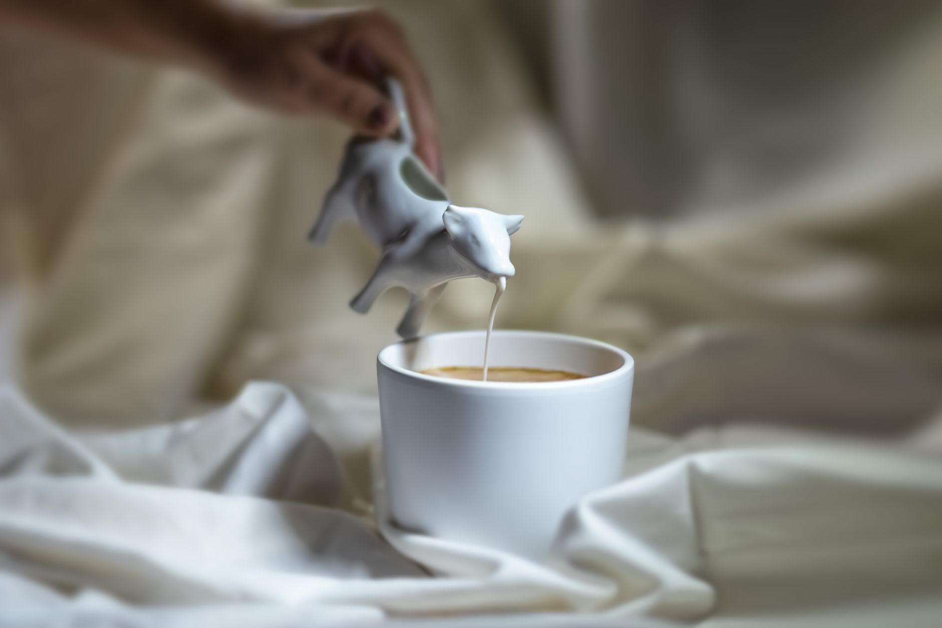 milk steaming wand automatic microfoam latte art pitcher