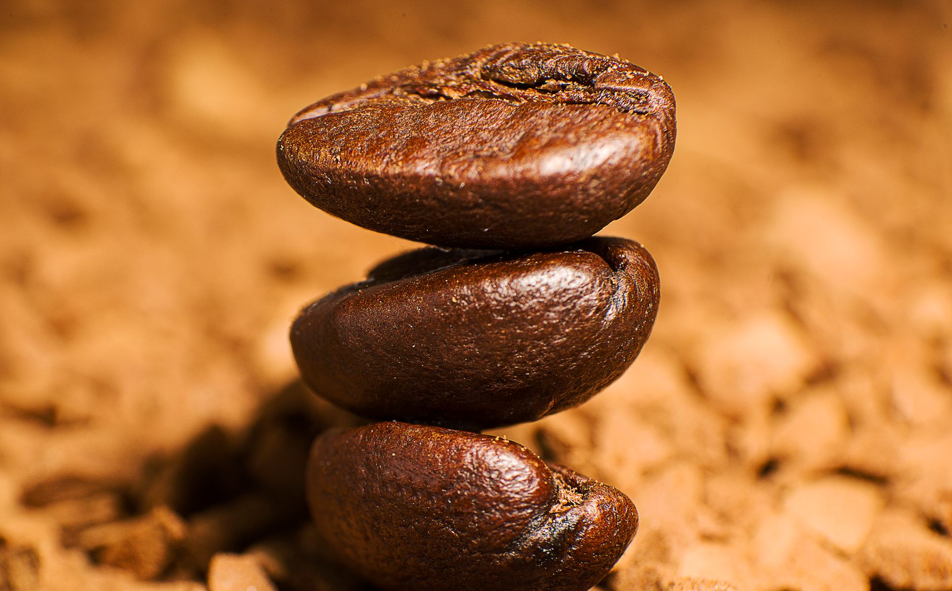 whole bean coffee medium roast dark roast comparison bags
