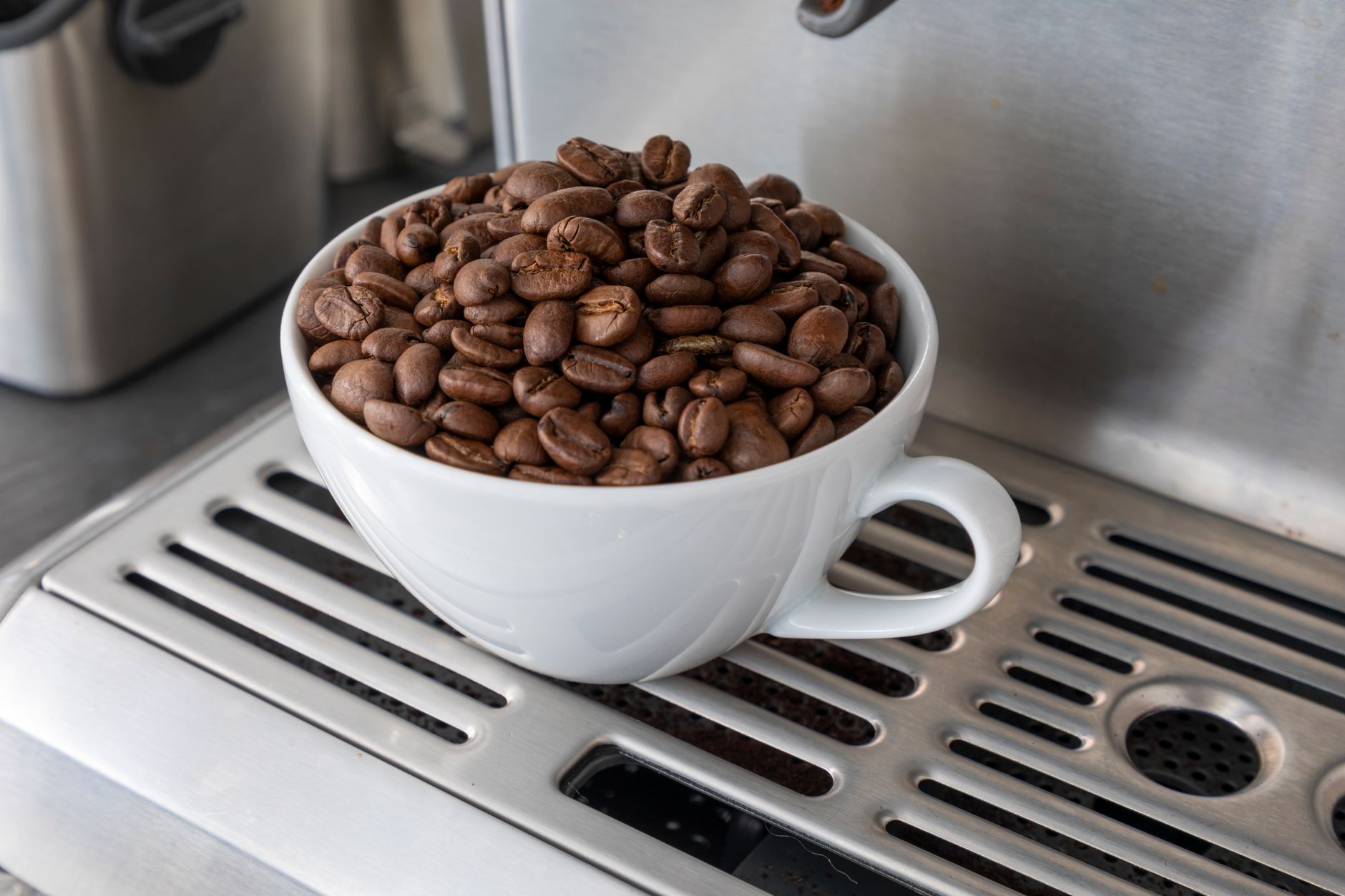 coffee chaff collection chamber air roaster