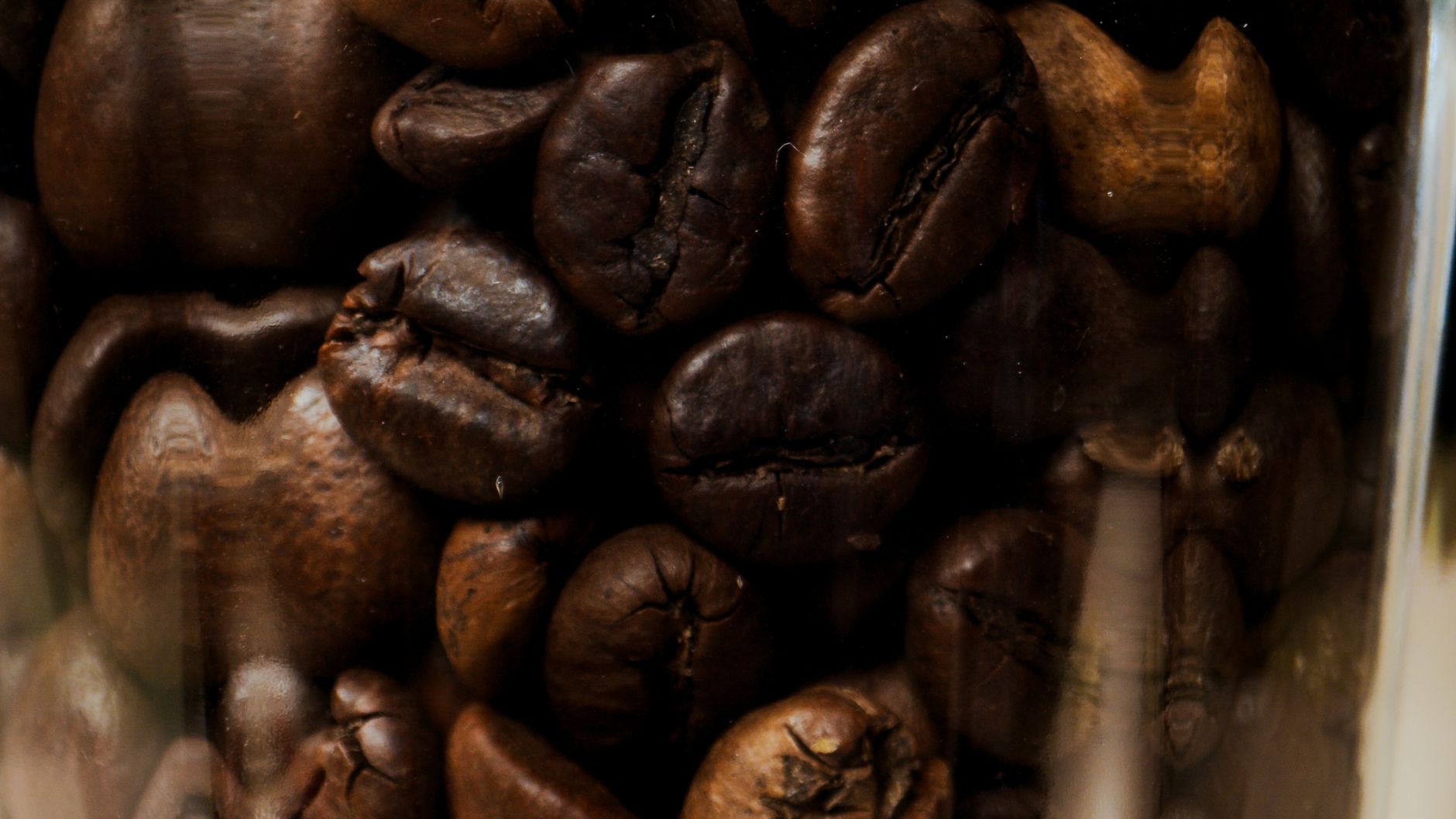 flat burr coffee grinder steel discs close up