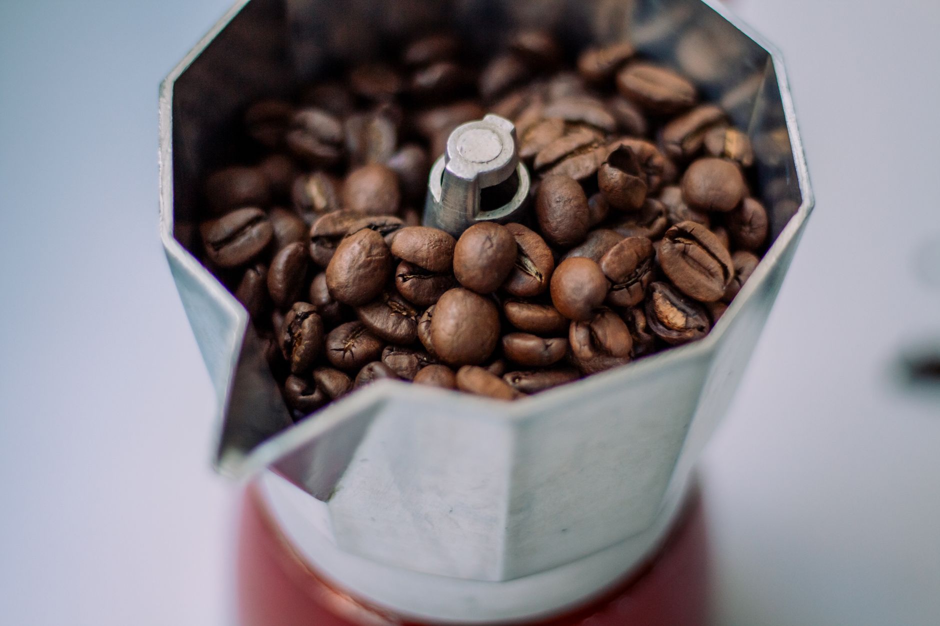 coffee grinder burr adjustment espresso fine grind