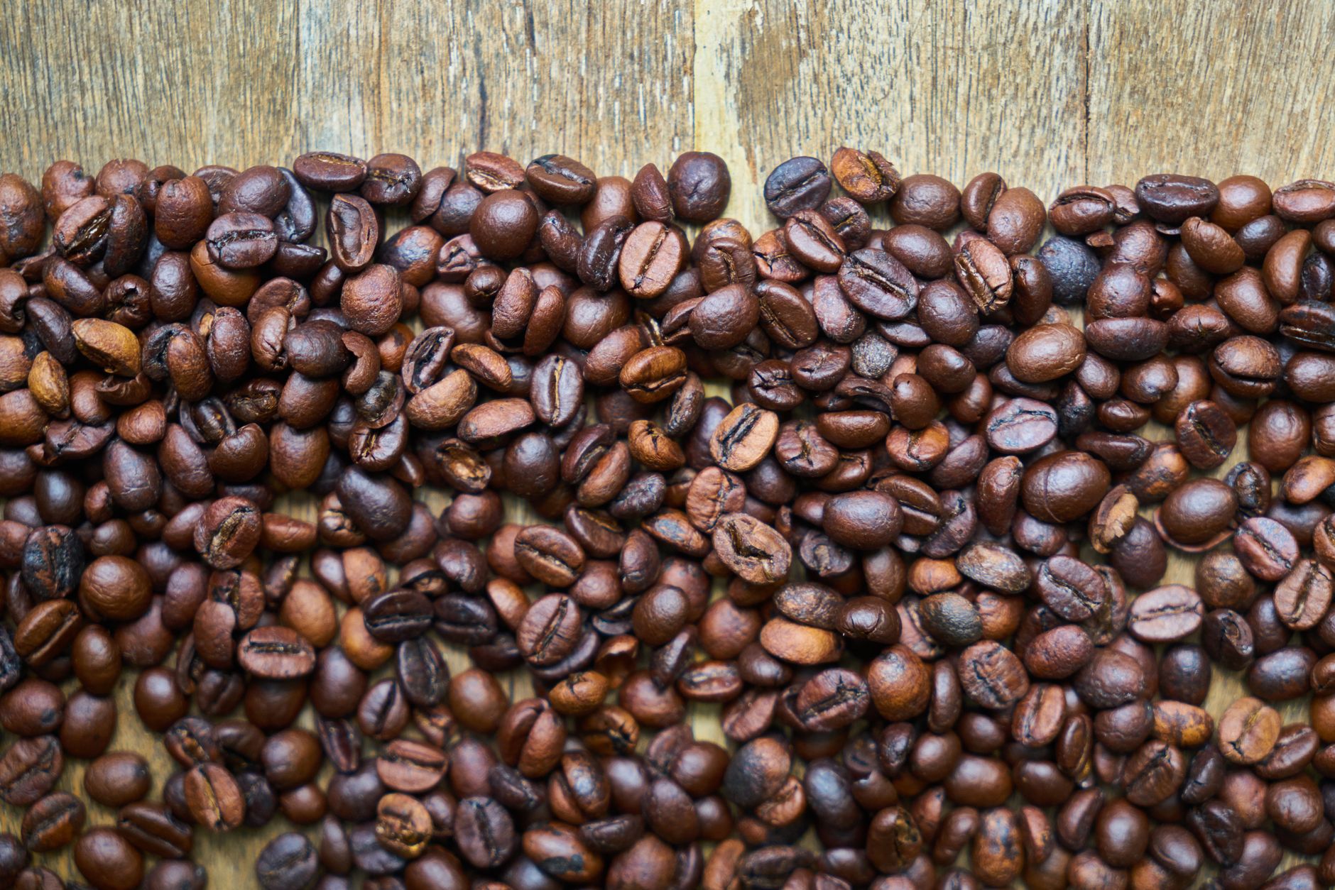 light roast coffee beans just after first crack city roast