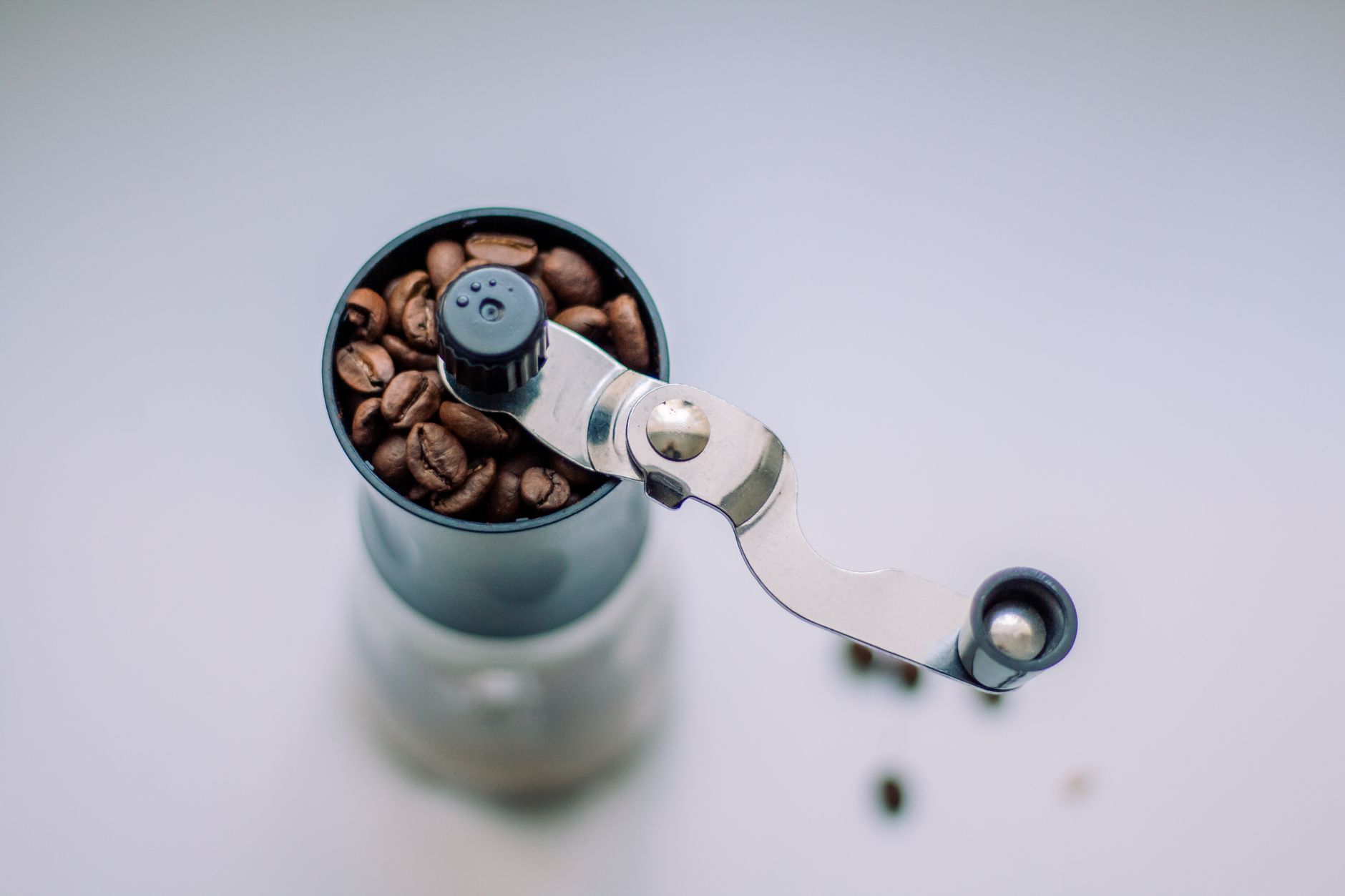 flat burr vs conical burr grinder comparison cross-section