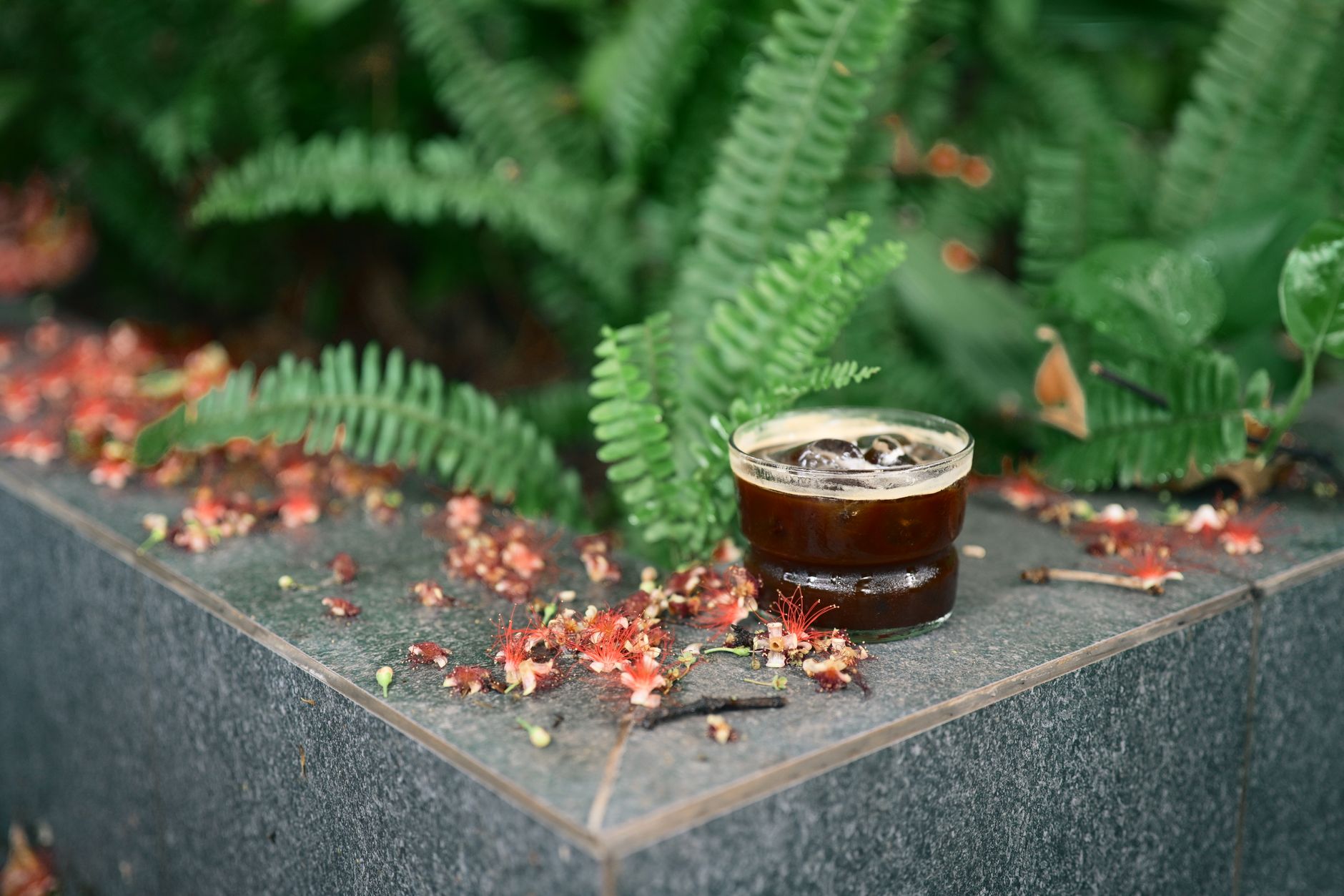 cold brew concentrate poured over ice glass