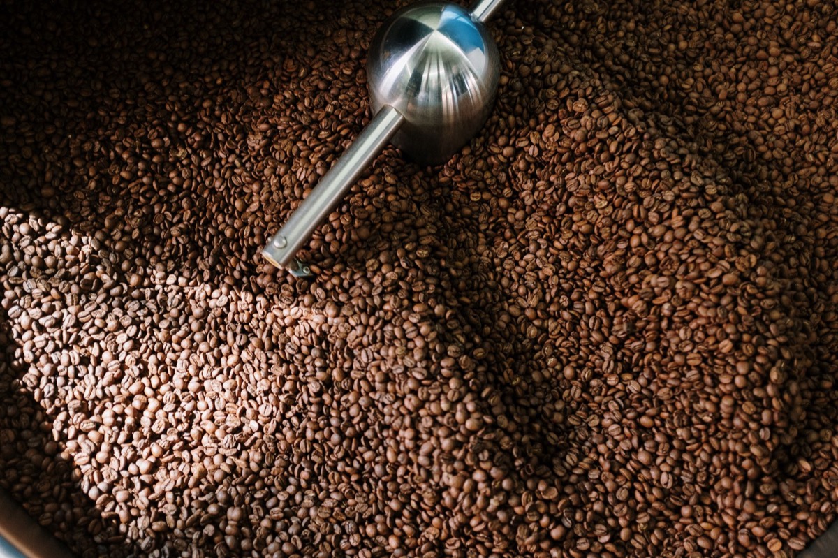 coffee bean roast color progression light to dark
