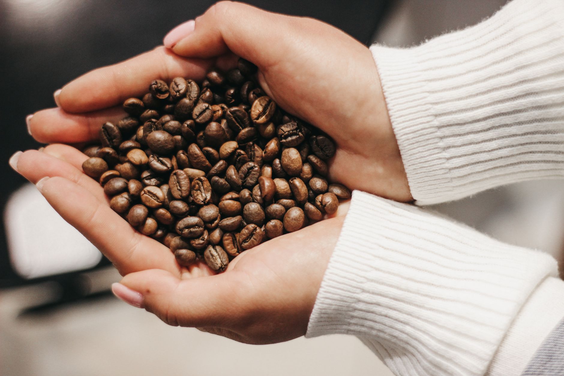 green coffee beans close-up hand inspection spread