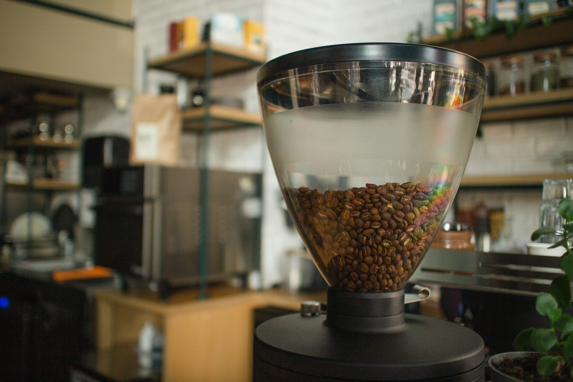 coffee grinder conical steel burr close-up