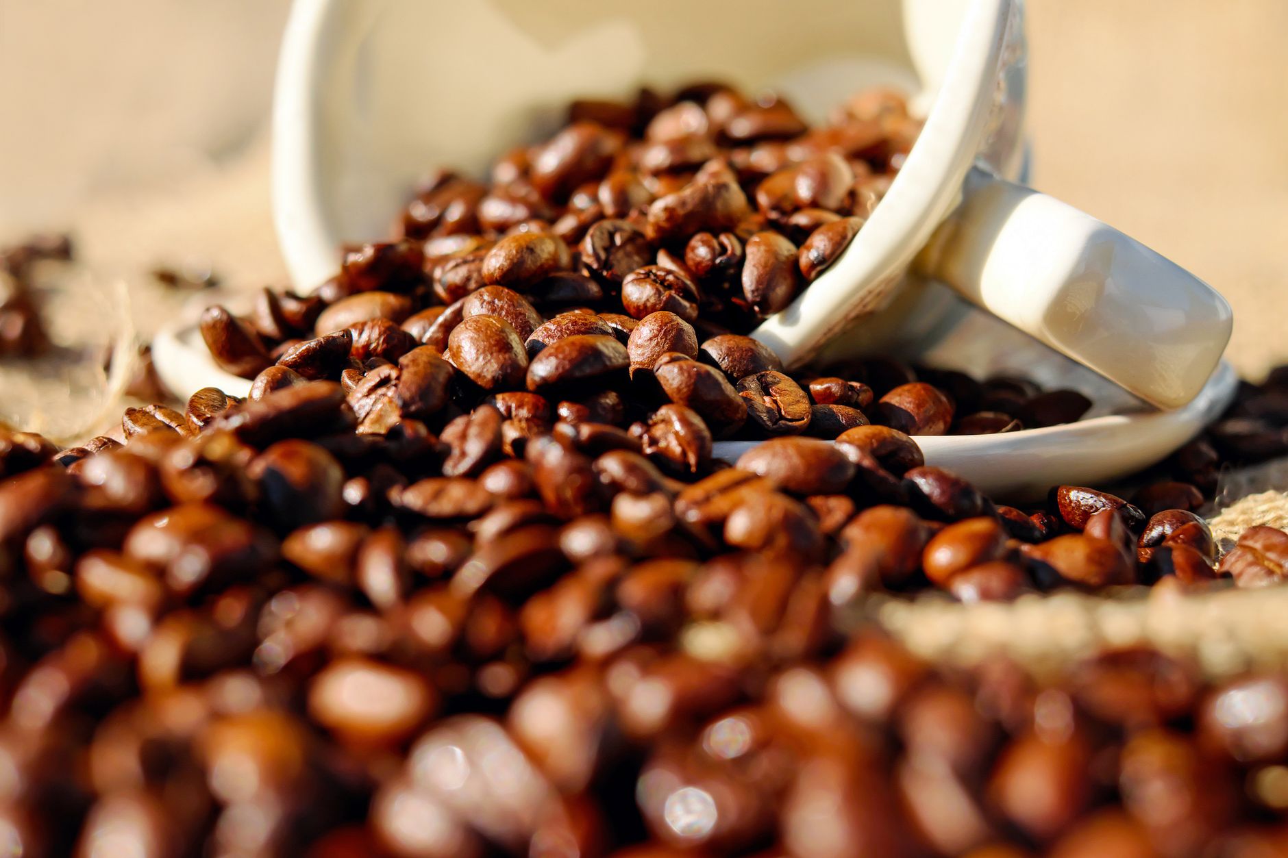 green coffee beans grading size defect sorting