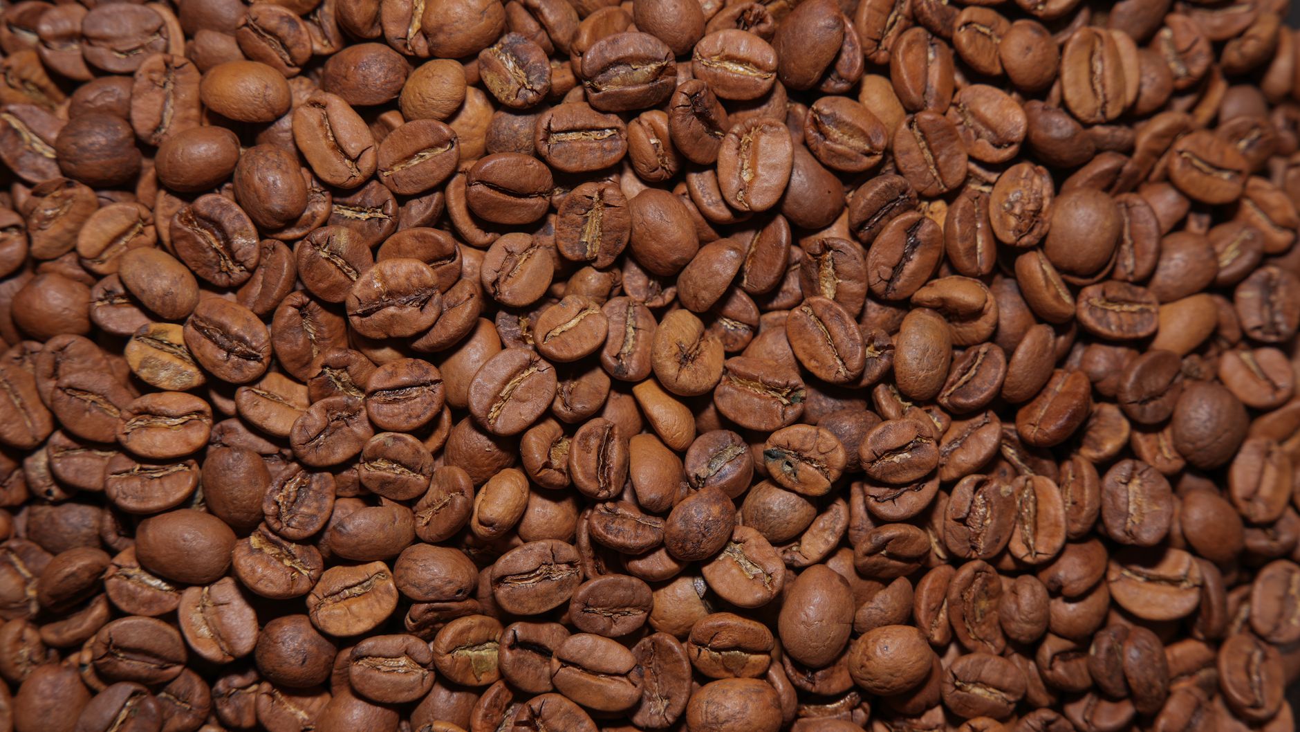 coffee degassing valve bag freshness roasted beans