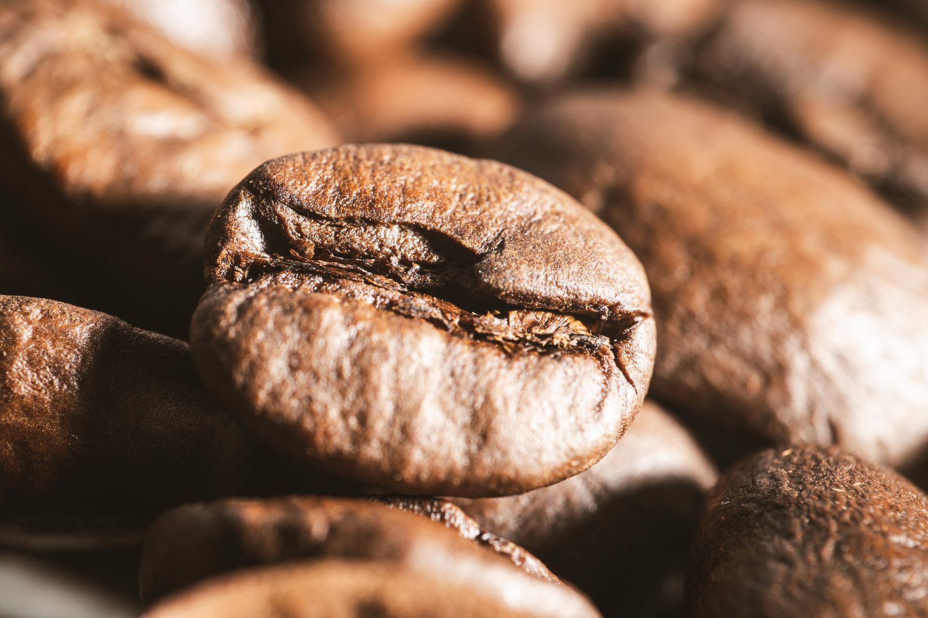 light vs dark roast coffee roasting chemistry