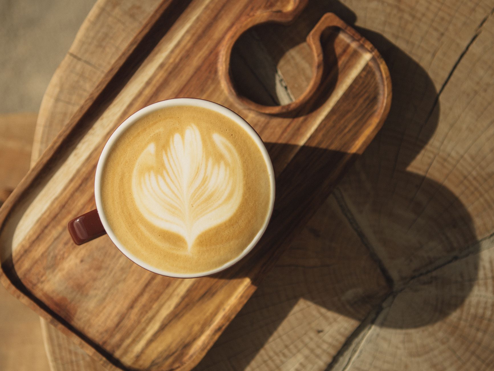 handheld milk frother frothing oat milk jug