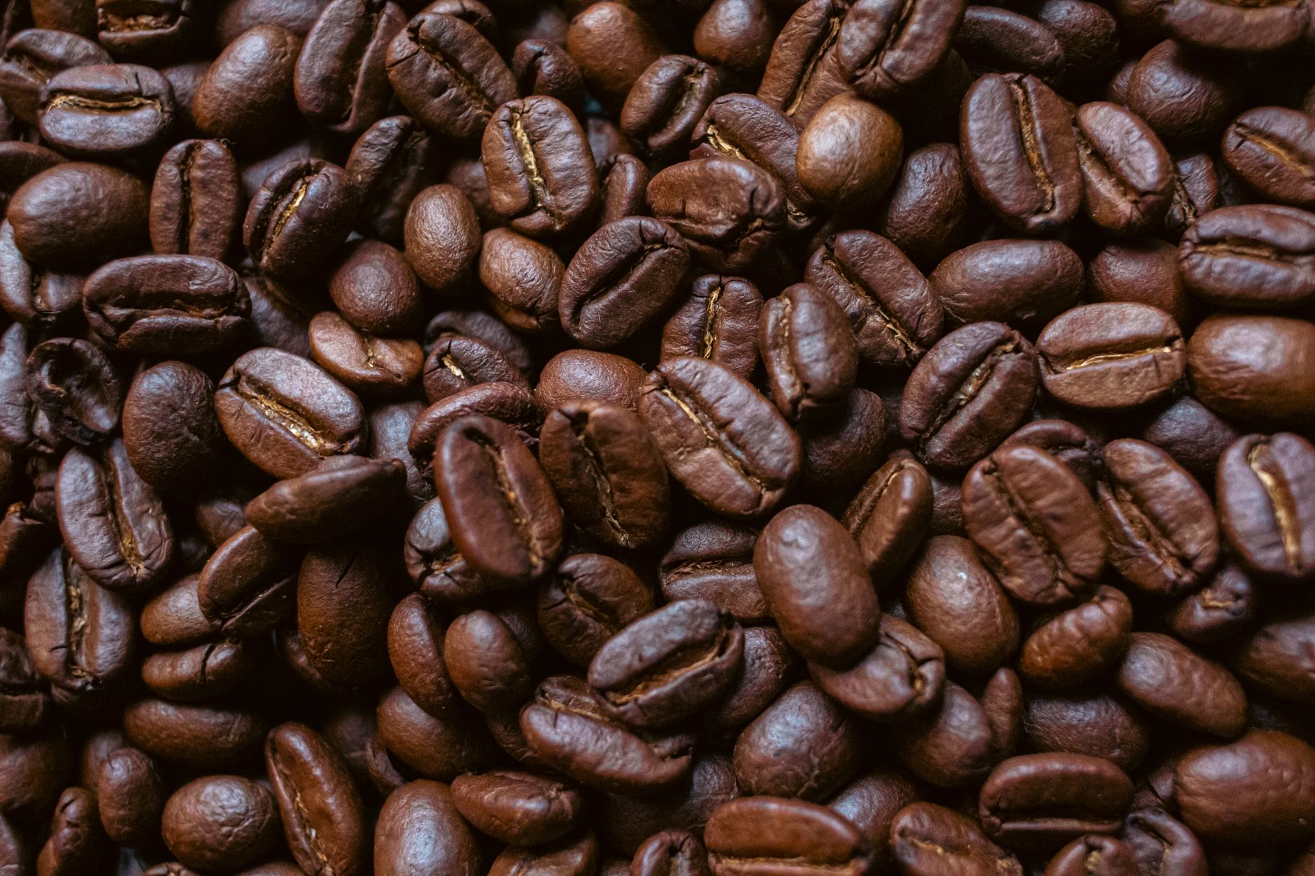 uneven roasted coffee beans color comparison light dark